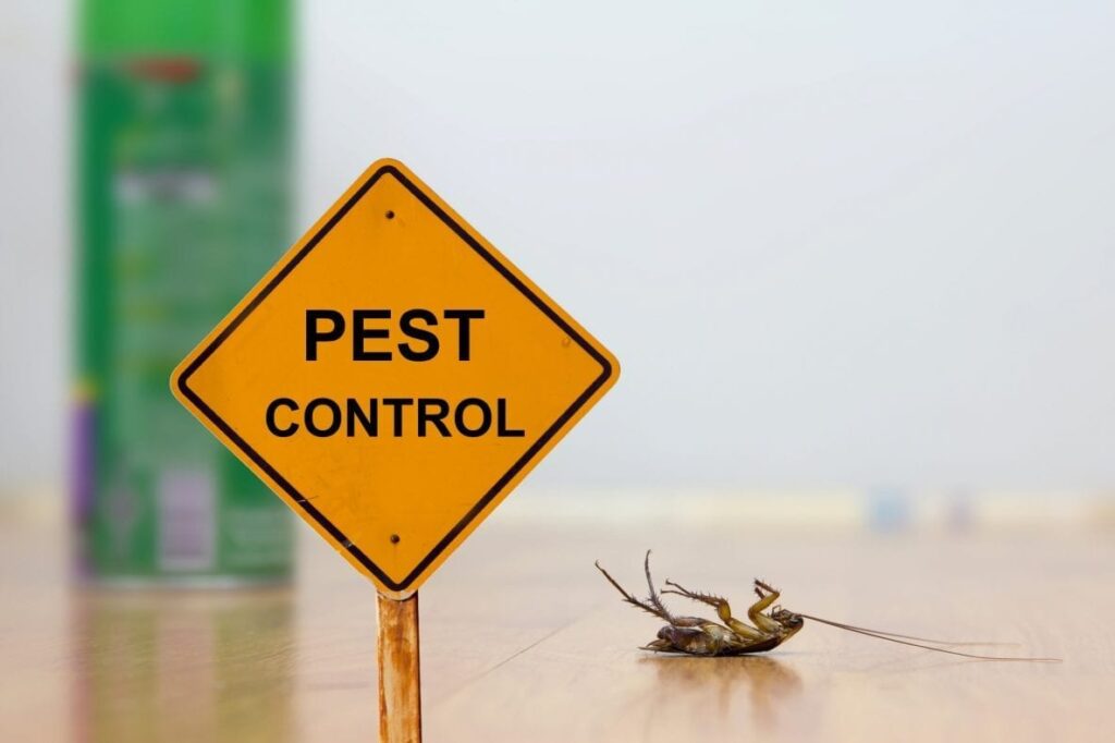 A pest control sign with a dead bug behind it